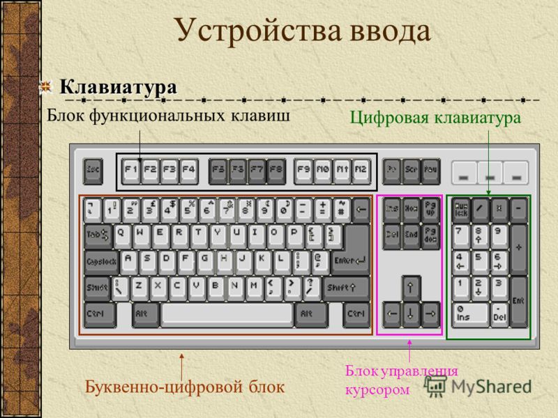 Оператор организации ввода данных с клавиатуры записывается с использованием служебного слова какого