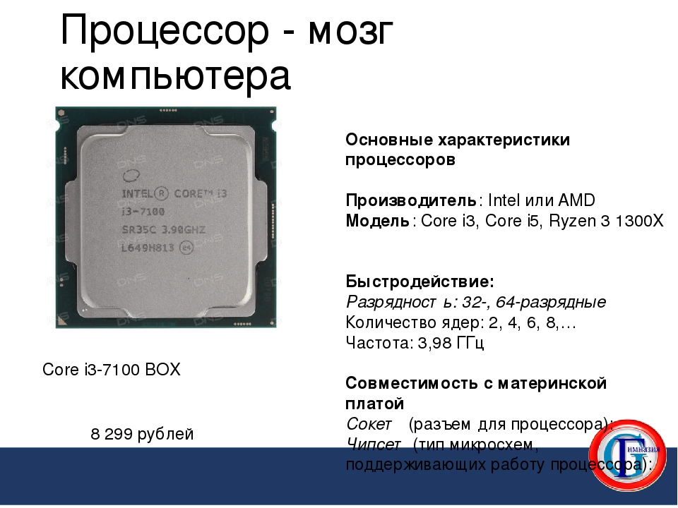 Как узнать сколько процессоров. Процессор характеристики процессора производители. Процессор мозг компьютера. Количество ядер процессора. Маркировка на крышке процессора.