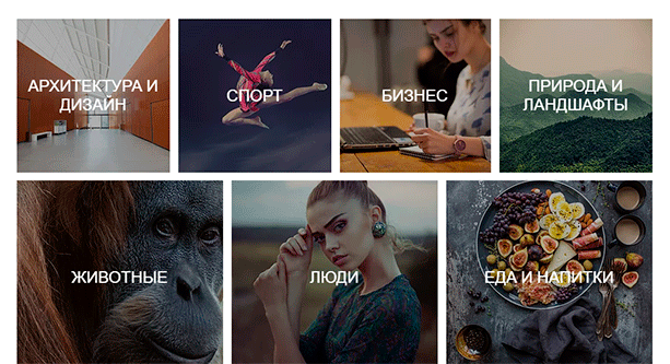 Free Stock Images
