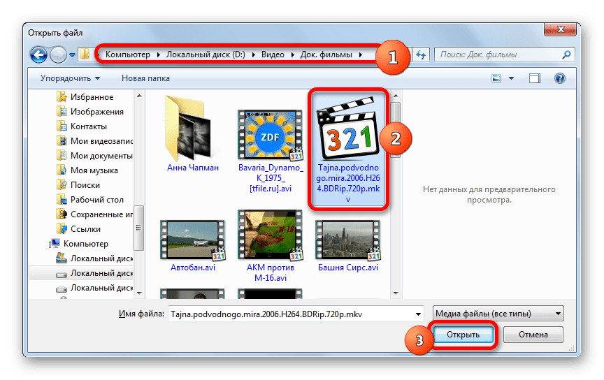 Окно открытия файла в программе GOM Media Player