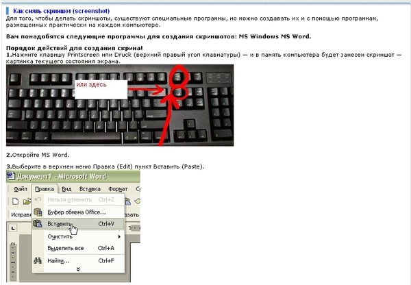 Как сделать скриншот картинки на компьютере с помощью клавиатуры