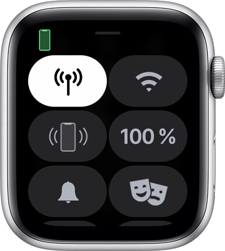 Программа «Пункт управления» на Apple Watch.