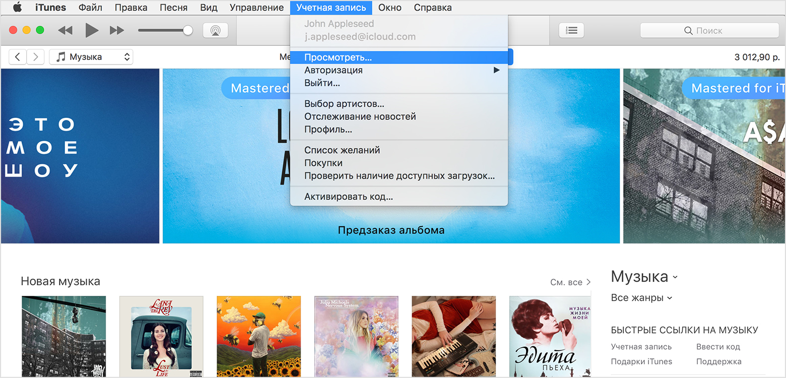 Окно «Просмотреть мою учетную запись» в iTunes